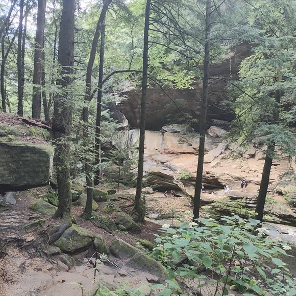 Meet your Posher, Jerry - Picture 6 of 17